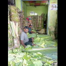 Hier wird indisches Einweggeschirr hergestellt